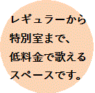 9室の低料金カラオケボックス